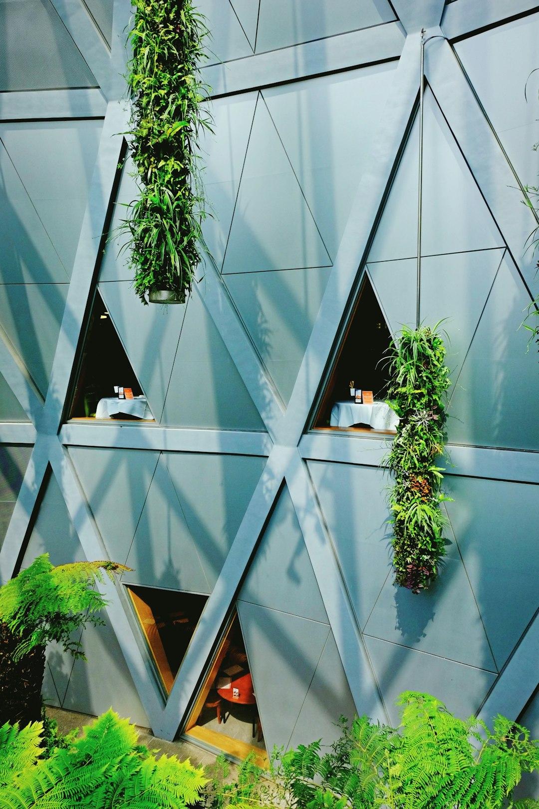 green-plant-on-white-pot-gq0rquodnvu